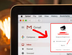 Cara Logout Akun Gmail di HP, Laptop dan iPhone