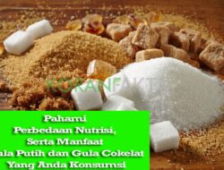 Pahami Perbedaan Nutrisi, Serta Manfaat Gula Putih dan Gula Cokelat Yang Anda Konsumsi
