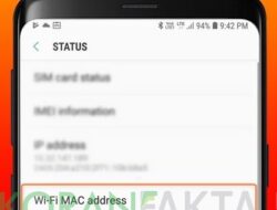 Cara Melihat MAC Address di Android Paling Mudah