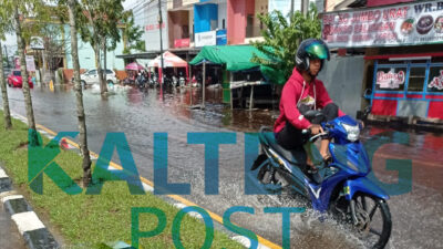 Pengendara Menghindari Banjir