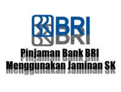 Pinjaman Bank BRI Jaminan SK 2023 Terbaru