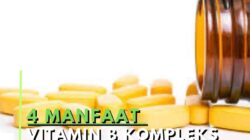 Vitamin B Kompleks
