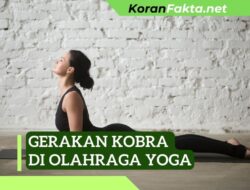 7 Manfaat Luar Biasa Gerakan Kobra di Olahraga Yoga yang Wajib Kamu Ketahui