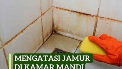 Mengatasi Jamur di Kamar Mandi: 9 Langkah Efektif untuk Kembali Bersih