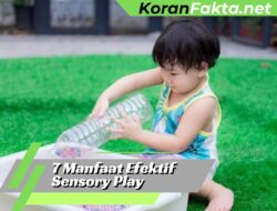 7 Manfaat Efektif Sensory Play yang Luar Biasa untuk Perkembangan Anak”
