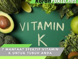 7 Manfaat Efektif Vitamin K untuk Tubuh Anda