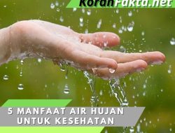 5 Manfaat Air Hujan untuk Kesehatan yang Wajib Anda Ketahui!