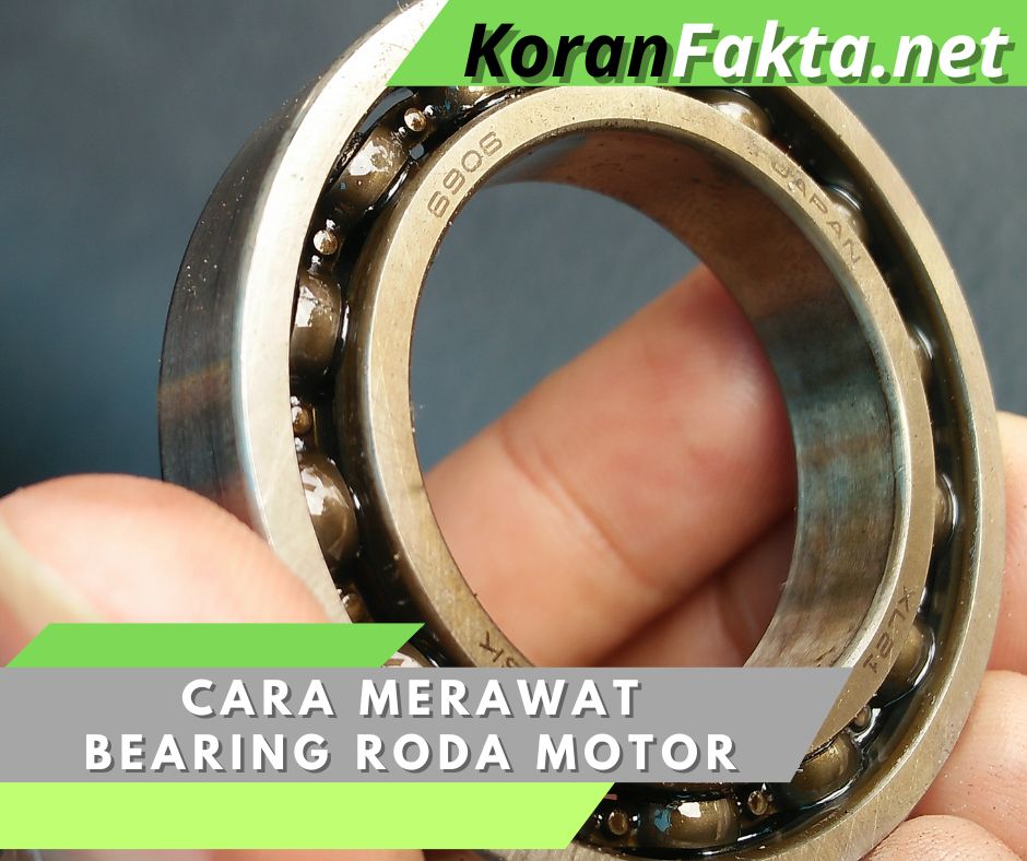 Bearing Roda Motor